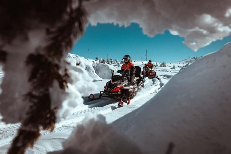 Saariselkä: One Hour Snowmobile Safari - Key Points