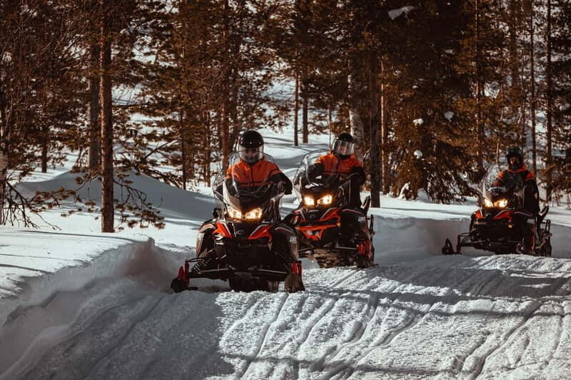 Saariselkä: One Hour Snowmobile Safari - Frequently Asked Questions