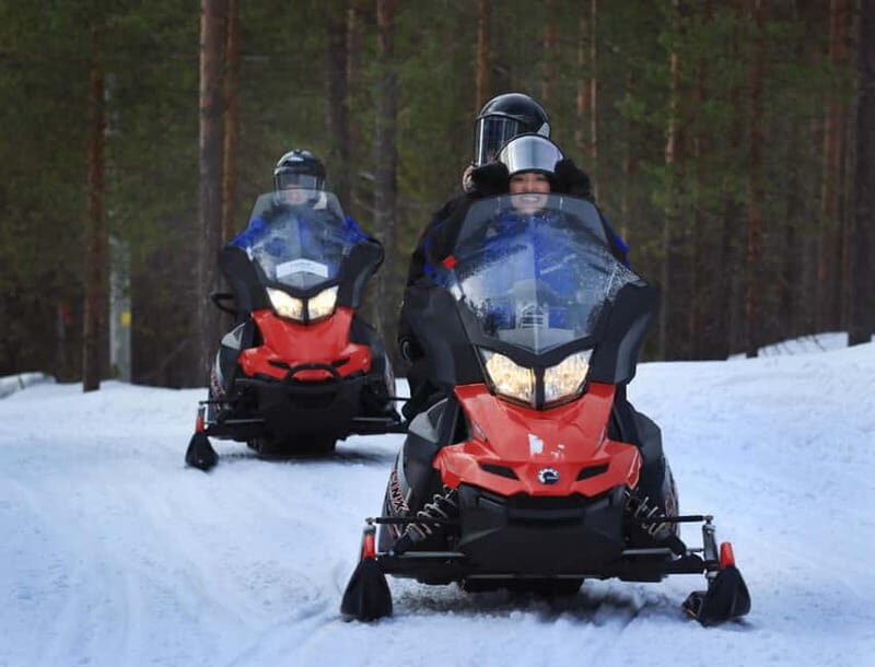Saariselka: Snowmobile Safari on Tundra with BBQ - What to Expect from the Tour