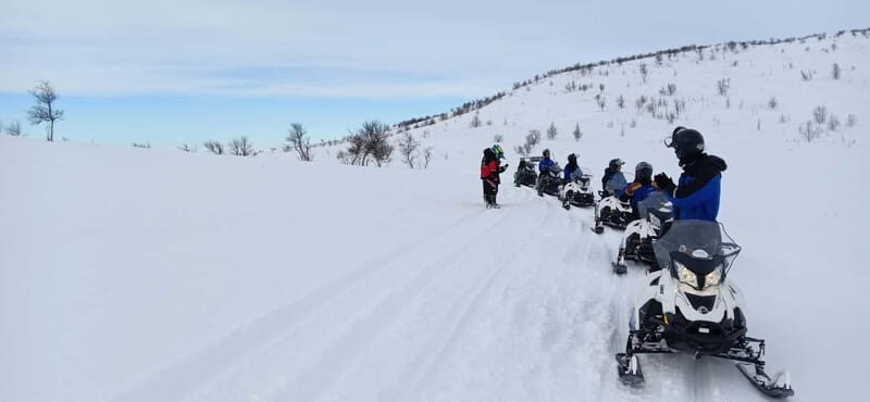 Saariselka: Snowmobile Safari on Tundra with BBQ - Authentic Experience and Value