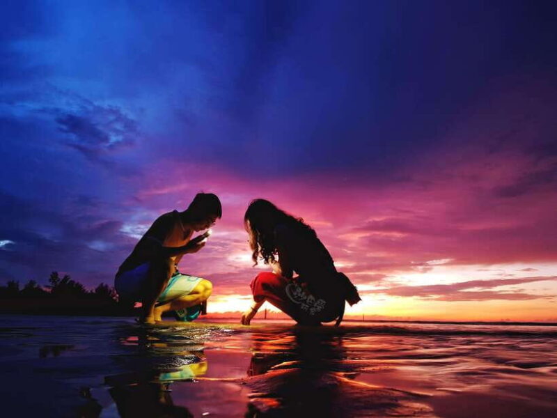 Sabah: Mangrove Fireflies, and Sky Mirror Dream Beach Tour - The Sum Up