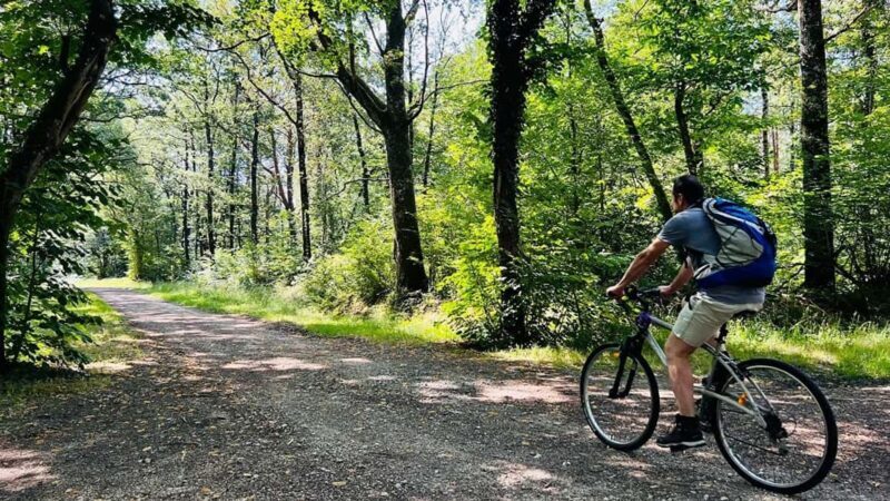 Sabana de la Mar: Los Haitises Park Bike and Boat Tour - Final Thoughts