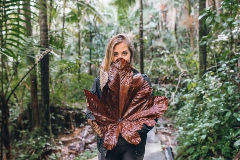 Sabana de la mar: Salto Limon, Cayo Levantado with lunch - Final Thoughts: Is This Tour for You?