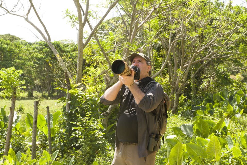 Sabana De La Mar: the Los Haitises Park Bird-Watching Tour - Key Points