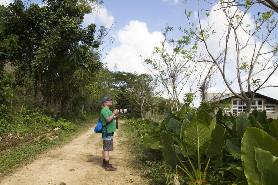 Sabana De La Mar: the Los Haitises Park Bird-Watching Tour - Endemic Bird Species
