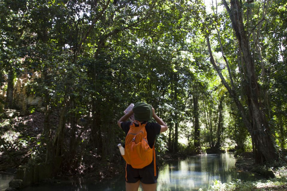 Sabana De La Mar: the Los Haitises Park Bird-Watching Tour - Scenic Park Trails