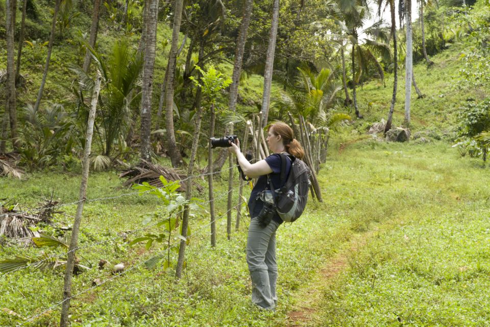 Sabana De La Mar: the Los Haitises Park Bird-Watching Tour - Recommended Gear