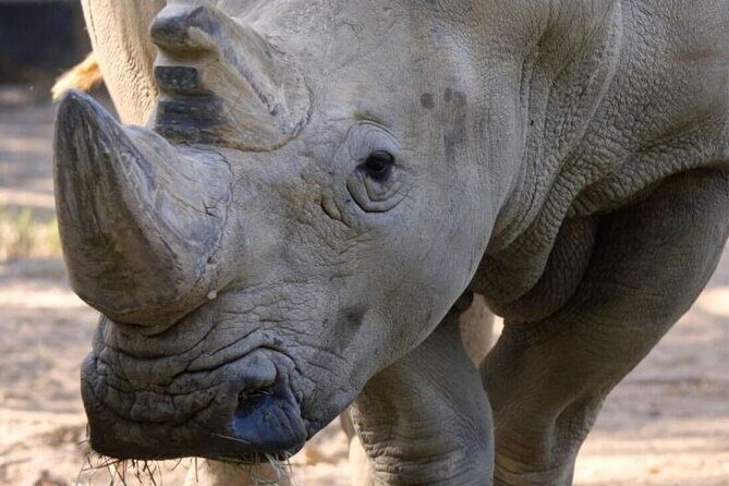 Sacramento Zoo General Admission Ticket - Who Will Love This Experience?