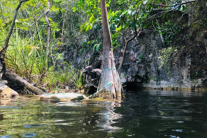 Sacred Adventure at Xenotes! 4 Different Cenotes + Round Transportation - Health and Safety Guidelines