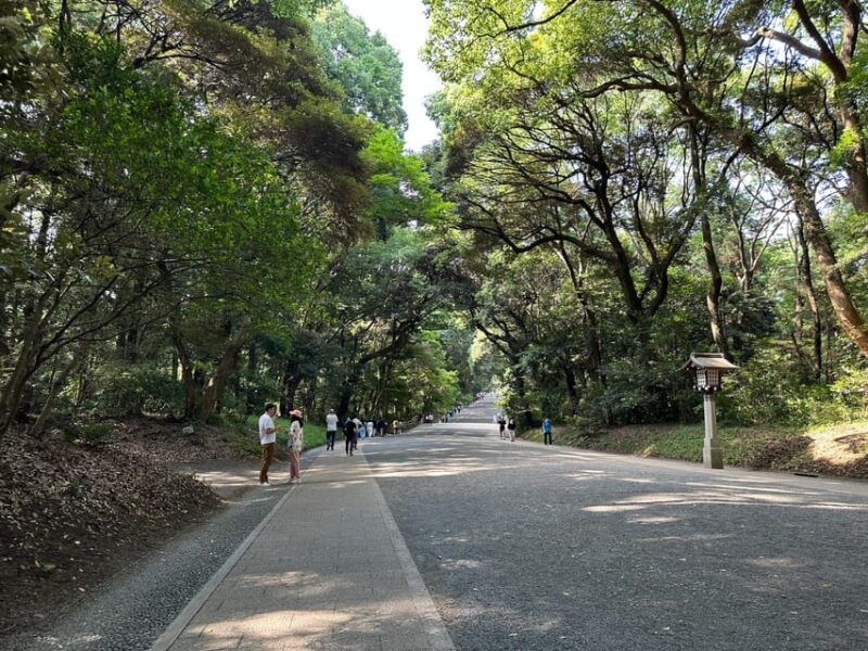 Sacred Morning Walk & Brunch-Meiji Shrine - Key Points