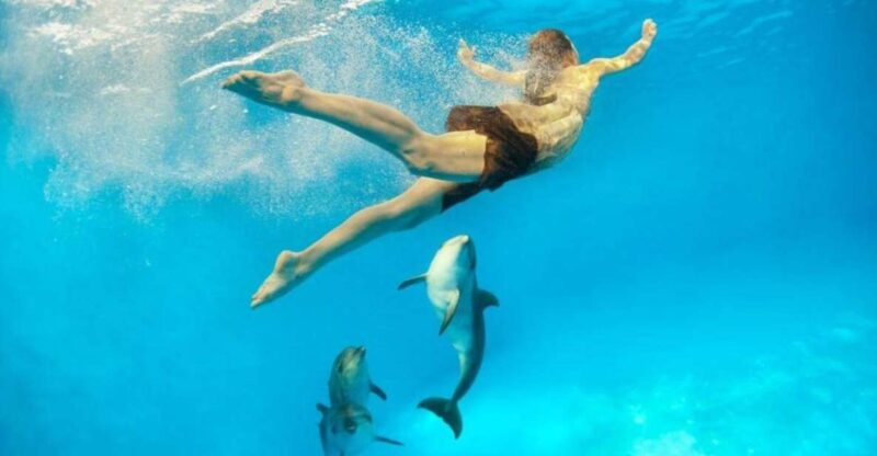 Safaga: Dolphin Watching Boat Tour With Private Transfer - Detailed Itinerary
