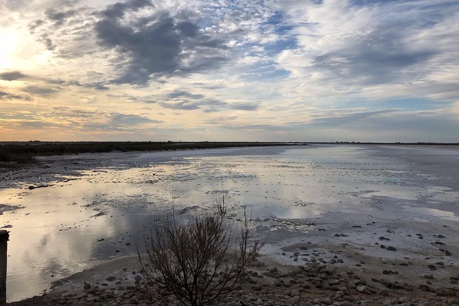 Safari 4x4 Camargue 2 Hours - Saintes Maries De La Mer - Private Tour - Cancellation Policy