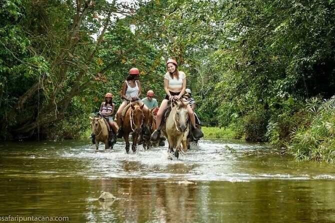 Safari Adventure - Full Day - From Punta Cana - A Full-Day Safari Experience in Punta Cana: What Travelers Should Know