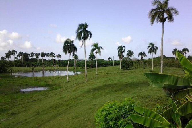 Safari Adventure - Full Day - From Punta Cana - Authenticity and Traveler Feedback