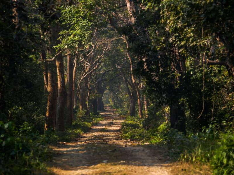 Safari Adventure in Bardia 3D/2N - Key Points
