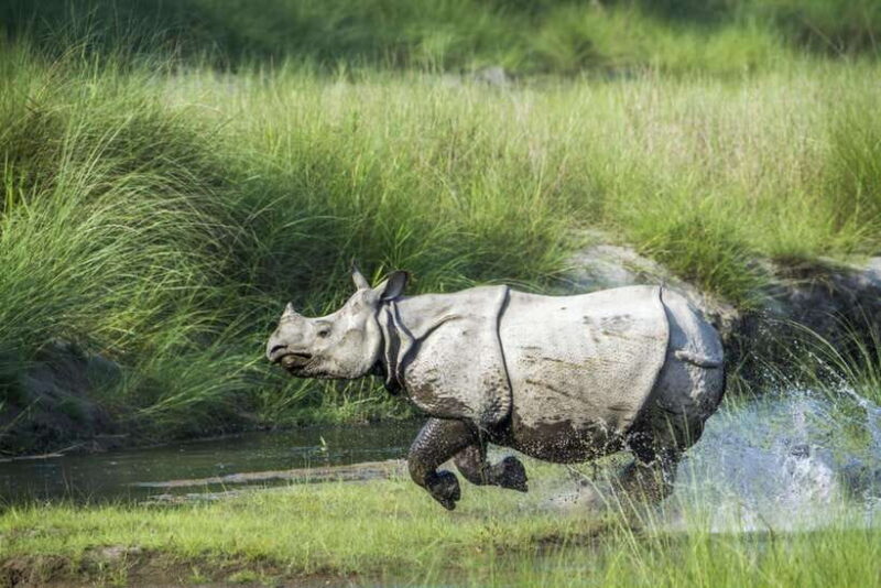 Safari Adventure in Bardia 3D/2N - Is This Tour Right for You?