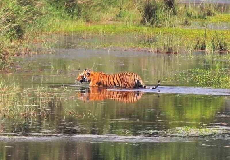 Safari Adventure in Bardia 3D/2N - The Sum Up