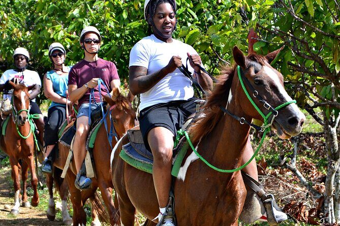 Safari Adventure in Punta Cana - An Overview of the Tour Experience