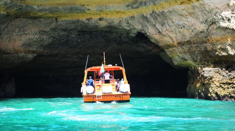 Safari & Boat Tour-Mountains & Dolphins - Key Points