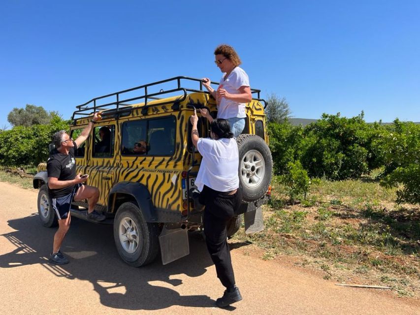 Safari & Boat Tour-Mountains & Dolphins - Boat Exploration