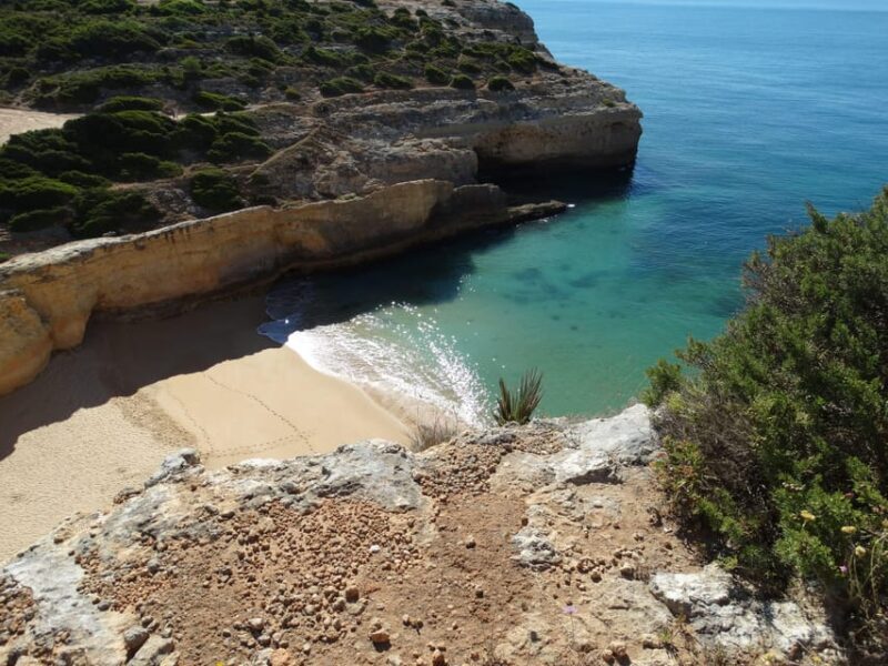 Safari Come and Discover Lagos Sagres Guided Tour - A Closer Look at the Safari Come and Discover Lagos Sagres Guided Tour  