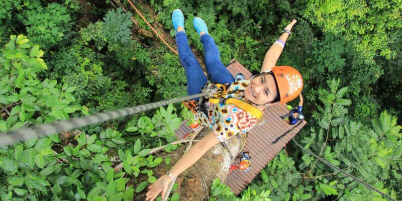 Safari Delight: a Guided Game Drive With a Twist - Additional Services and Flexibility