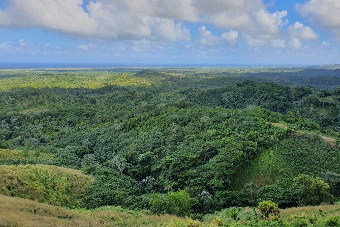 Safari Full Day VIP Experience - Transportation, Timing, and Overall Experience