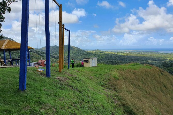 Safari Full Day VIP Experience - What Our Reviewers Say