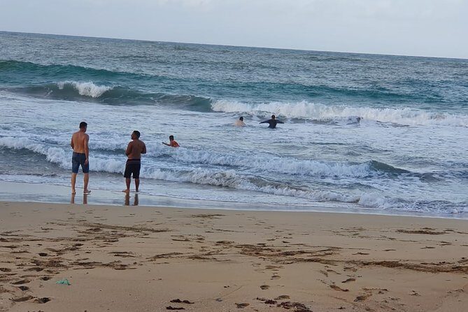 Safari Full Day VIP Experience - The Sum Up: Is It Worth It?