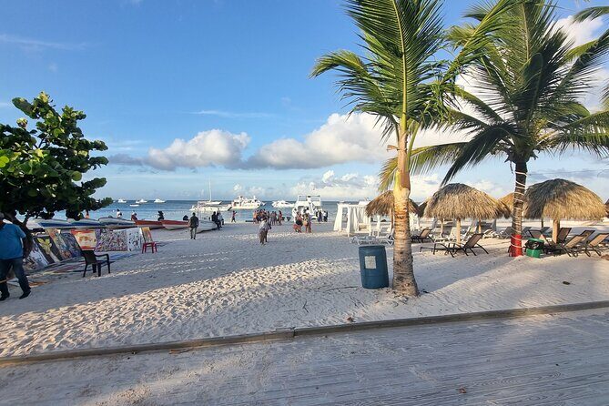 Safari Half Day Experience - Who Might Want to Skip or Adjust Expectations?