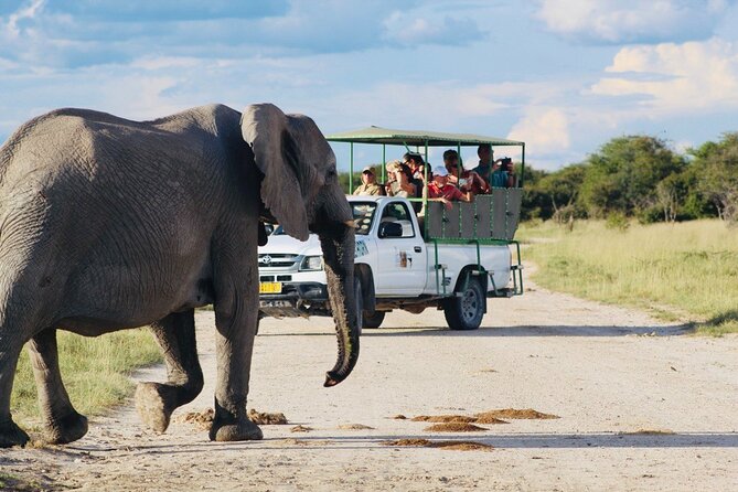 Safari in Etosha National Park With Professional Tour Guides Born in Etosha. - Good To Know