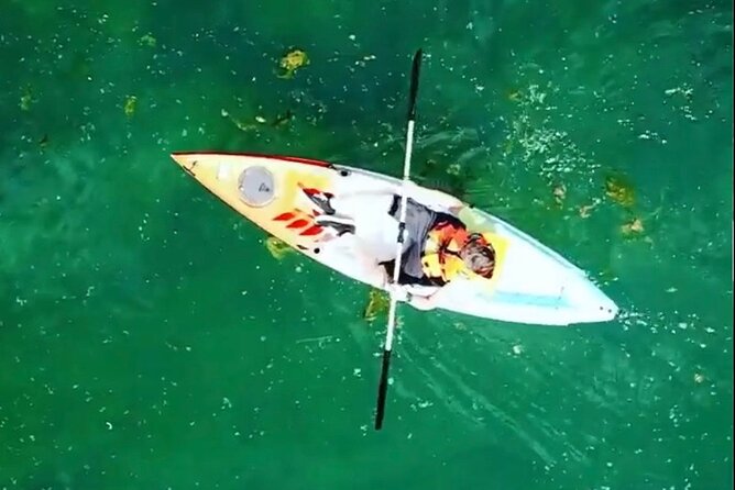 Safari Kayak Adventure W BBQ & Beer - Ask Away
