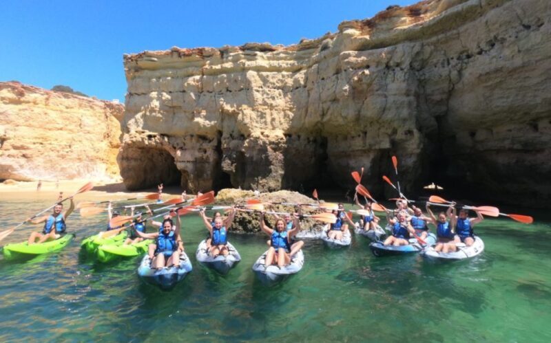 Safari & Kayaking - An In-Depth Look at the Experience