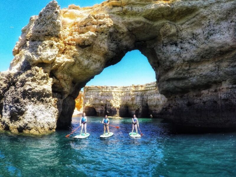 Safari & Kayaking - What Real Travelers Say
