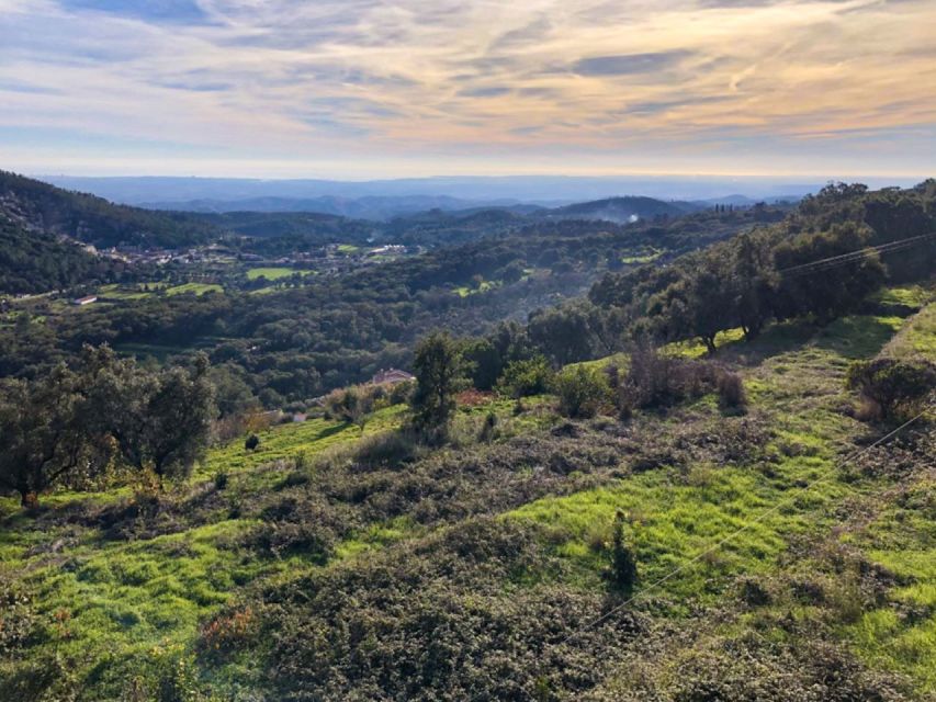 Safari Silves & Monchique - Key Points