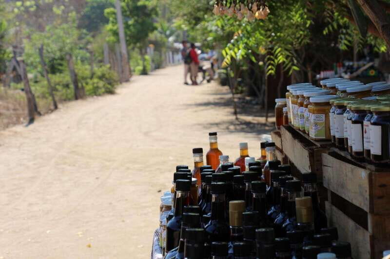 SAFARI THROUGH THE MANGROVES IN VENTANILLA OAXACA - FAQs