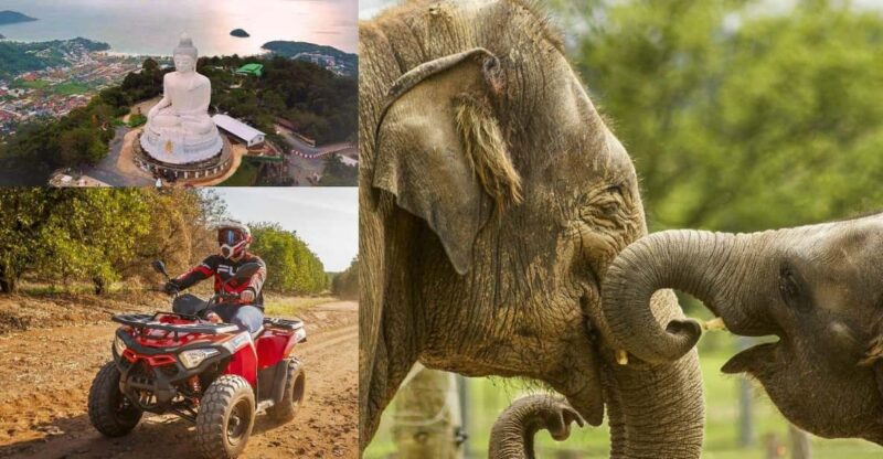 Safari Trails & Off-Road Ventures With Big Buddha - Key Points