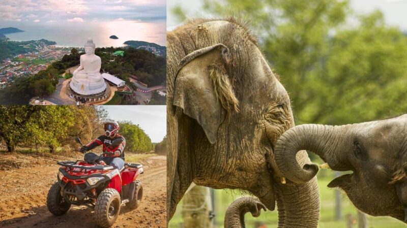 Safari Trails & Off-Road Ventures With Big Buddha - Highlights of the Experience