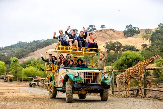 Safari West Sonoma Adventure Tour - A Detailed Look at the Safari West Experience