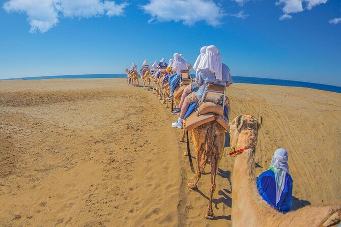 Safari with Camel Caravan to Explore Bajas Nature, Culture and Cuisine - Practical Tips for Travelers