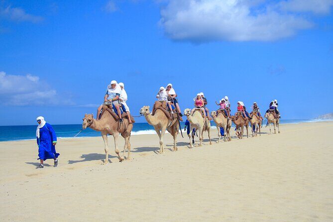 Safari with Camel Caravan to Explore Bajas Nature, Culture and Cuisine - Who Will Enjoy This Tour?
