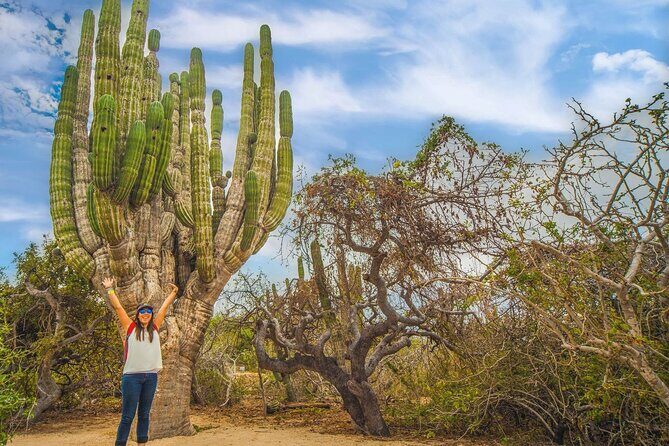 Safari with Camel Caravan to Explore Bajas Nature, Culture and Cuisine - Final Thoughts