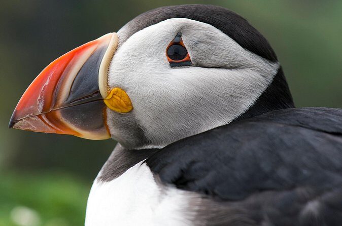 Safe Ride for Travellers to Edmonton - FAQ