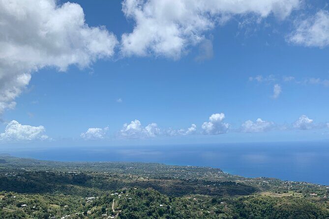 Sage Premier Taxi and Party Tours - Cost and Value Analysis