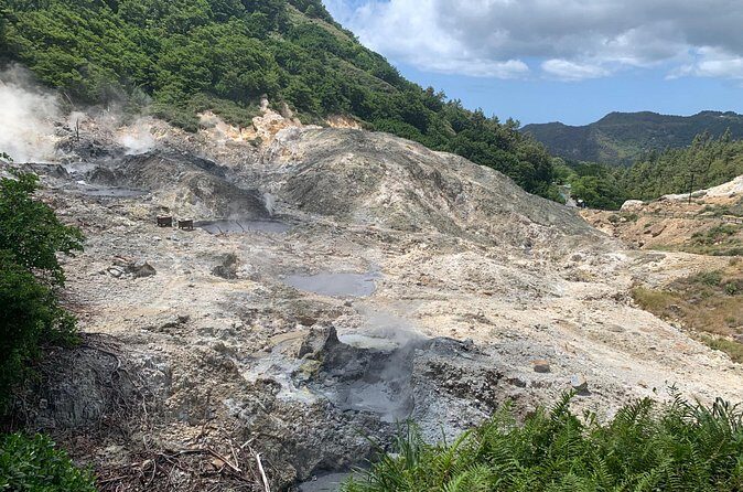 Sage Premier Taxi and Party Tours - Who Will Benefit Most?