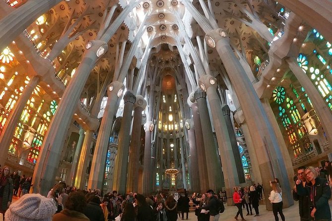Sagrada Familia Direct Access : Premium Guided Tour With Ticket - Architectural Highlights
