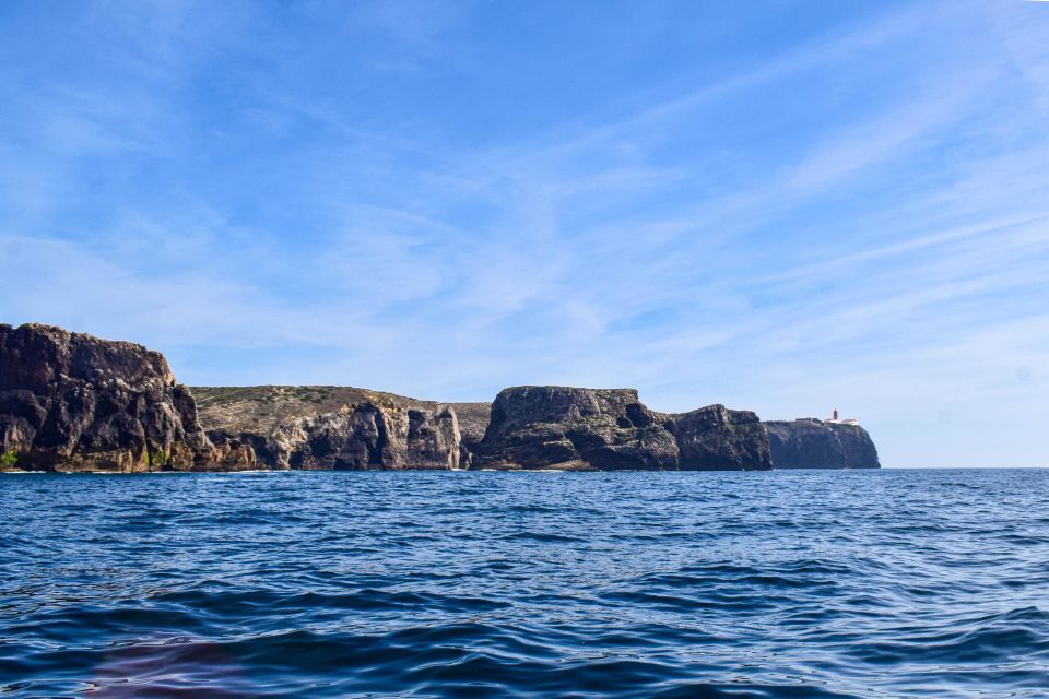 Sagres: Wildlife Tour Dolphins and Caves - Key Points