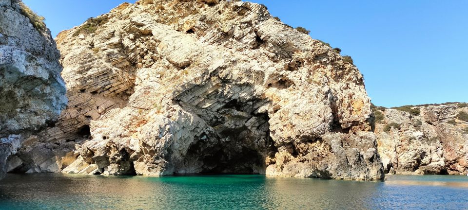 Sagres: Wildlife Tour Dolphins and Caves - Accessibility and Highlights