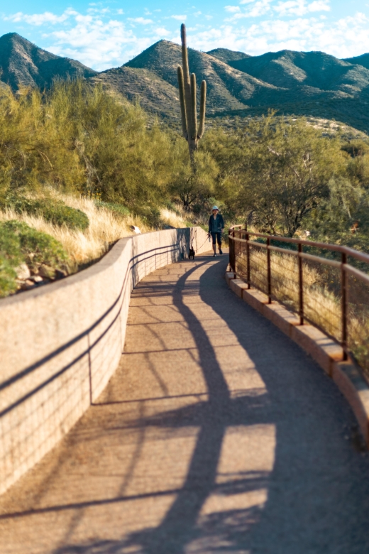 Saguaro National Park: Day Tour & Hike - Inclusions
