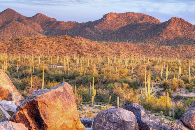 Saguaro National Park East E-Bike Tour - Fitness, Weight, and Age Requirements